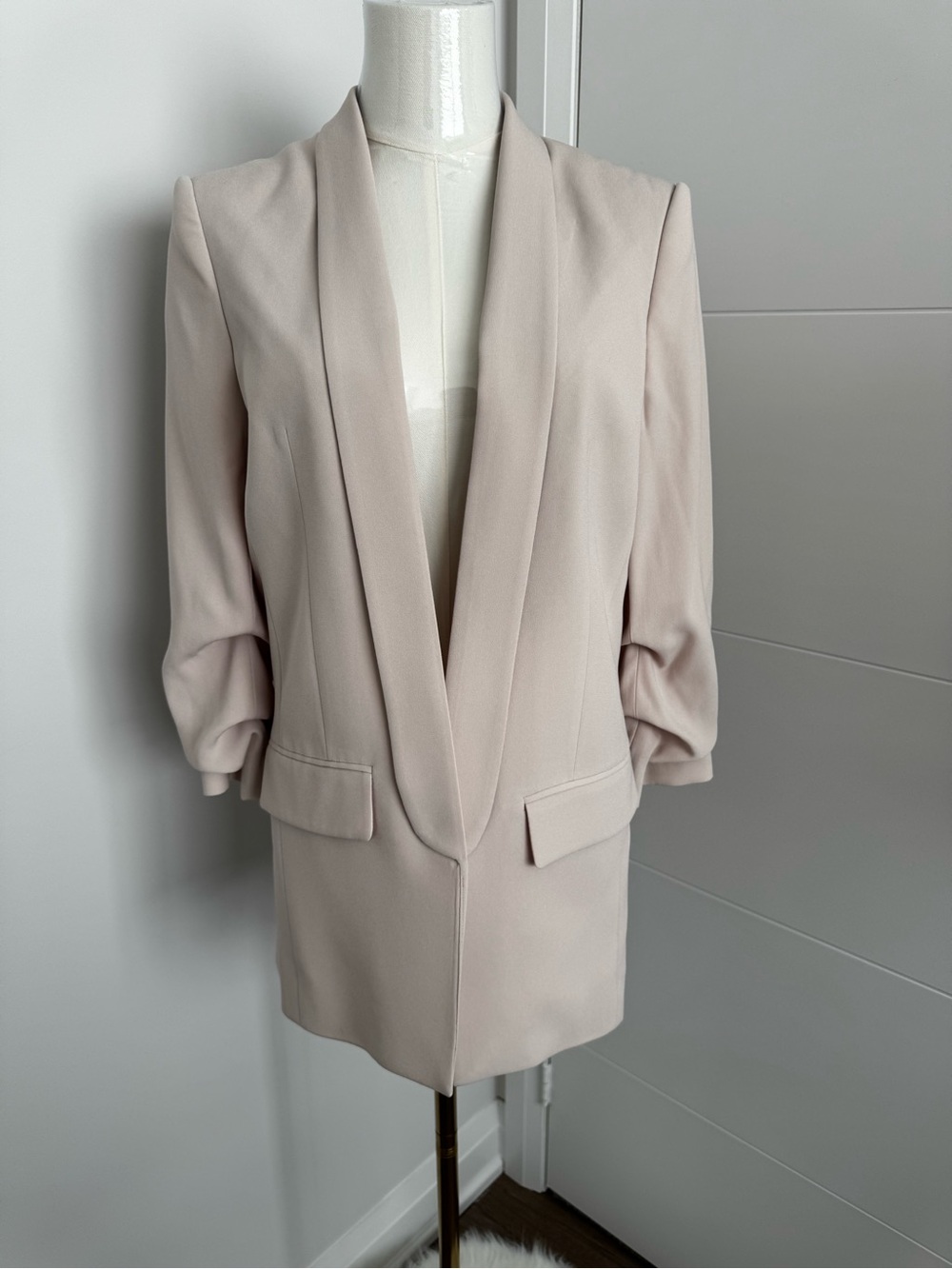 Aritzia Babaton Serif Blazer Blush Size S